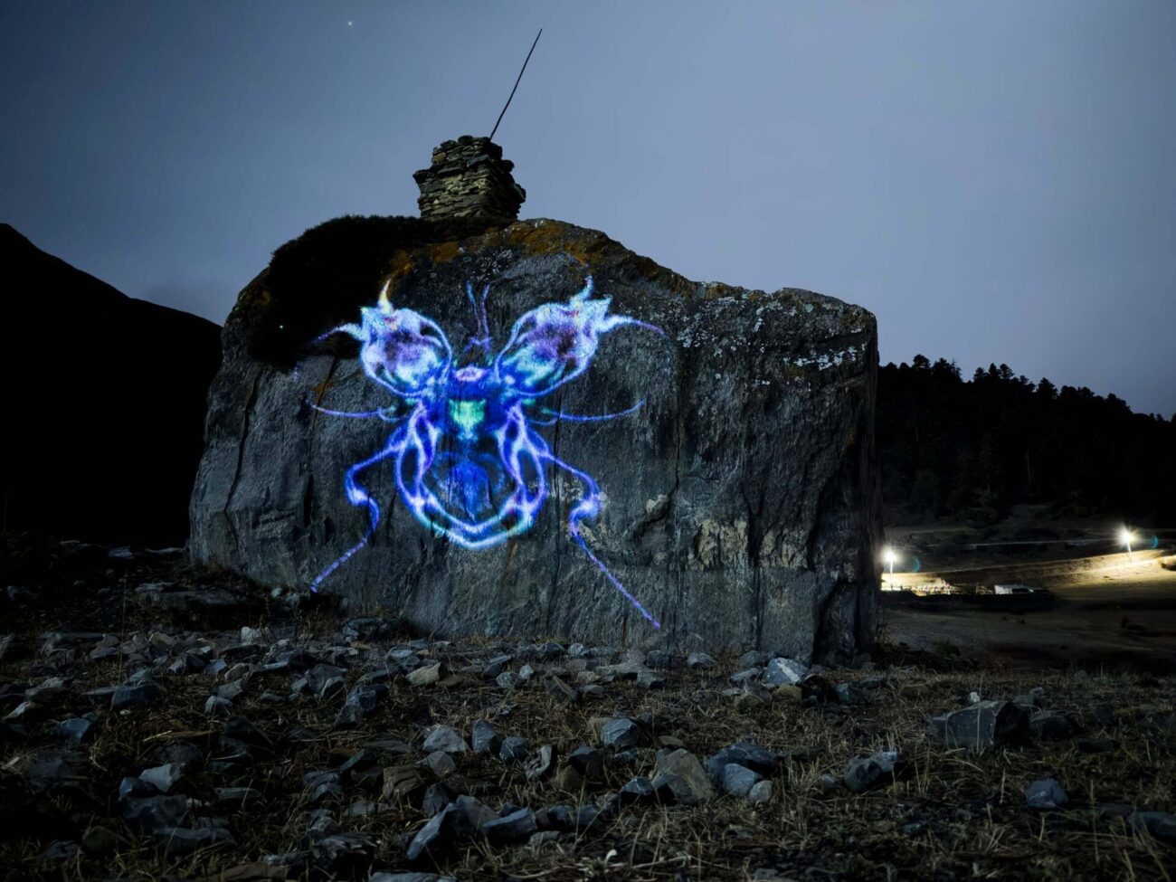 emma x zhang art Manang Neon Bug rock light installation, abstract symmetrical bug creation